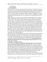 Hoàn thiện hệ thống biện pháp bảo hộ phi thuế của Việt Nam trong tiến trình gia nhập WTO