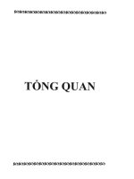 Tổng quan  tổng hợp clorur p-etoxyneophyl và Alcol p- etoxyneophyl