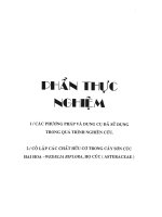 Thực nghiệm thành phần hóa học cây sơn cúc hai hoa