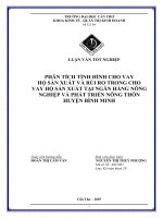 Phân tích tình hình cho vay hộ sản xuất và rủi ro trong cho vay hộ sản xuất tại ngân hàng nông nghiệp và phát triển nông thôn huyện Bình Minh
