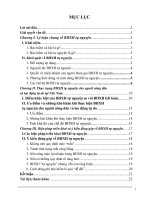 bảo hiểm xã hội tự nguyện