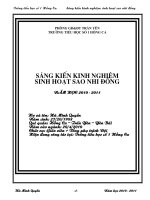 Sáng kiến kinh nghiệm sinh hoạt sao nhi đồng trường tiểu học số 1 Hồng Ca