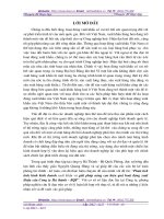 Phân tích tình hình kinh doanh xuất khẩu và giải pháp nâng cao hiệu quả hoạt động xuất khẩu