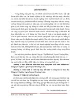 Tình hình tổ chức bộ máy kế toán và công tác kế toán tại Công ty Cổ phần Gạch Tuynel Trường Lâm.