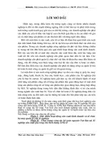 Hoàn thiện kế toán nguyên vật liệu tại Xí nghiệp sản xuất gia công chế biến hàng XNK II