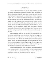 giải pháp phát triển hệ thống lưới điện đến các xã nghèo tỉnh Cao Bằng