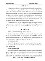 biện pháp bảo lãnh trong các giao dịch dân sự