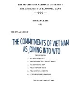 the bilateral and multilateral commitment that Viet Nam made to participate in WTO.
