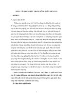 mảng tối trong bức tranh nông thôn hiện nay