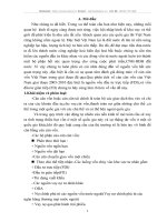 Thực trạng cán cân vốn Việt Nam giai đoạn 2005-2010