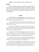 Phân tích những nguyên nhân dẫn đến sự không thành công của các Bản kế hoạch phát triển của VN