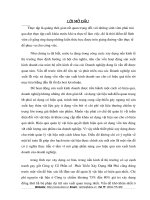 Hoàn thiện công tác kế toán nguyên vật liệu tại công ty cổ phần phát triển xây dựng Hạ Phú