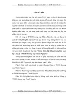 Hoàn thiện hệ thống kênh phân phối tại Công ty TNHH Thương mại Thành Nguyên