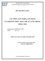 Cấu trúc, ngữ nghĩa, ngữ dụng của phương thức thay thế từ vựng trong tiếng Việt