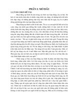 Hoạt động tạo hình cho học sinh mầm non lớp 5-6 tuổi