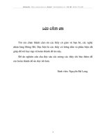 Giới thiệu chung về làng nghề Đông Hồ