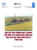 Thúc đẩy tăng trưởng kinh tế nhanh bền vững và vì người nghèo nhằm đạt mục tiêu phát triển thiên niên kỷ ở Việt Nam