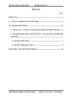 tiểu luận an sinh xã hội