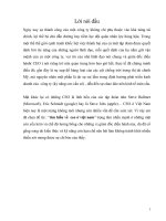 tìm hiểu về  ceo ở việt nam