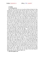 Vận dụng bảng hỏi trong phương pháp định giá ngẫu nhiên