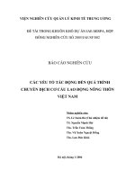 CÁC YẾU TỐ TÁC ĐỘNG ĐẾN QUÁ TRÌNH CHUYỂN DỊCH CƠ CẤU LAO ĐỘNG NÔNG THÔN VIỆT NAM