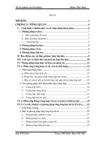 Kết quả chụp sem của polyme có và không có sắt từ