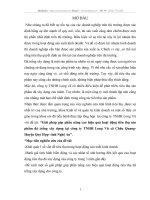 Giải pháp góp phần nâng cao hiệu quả hoạt động tiêu thụ sản phẩm đá trắng xây dựng tại công ty TNHH Long Vũ xã Châu Quang- Huyện Quỳ Hợp- tỉnh Nghệ An