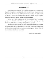 Những kiến nghị, giải pháp sử dụng có hiệu quả hạn  ngạch