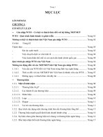 Gia nhập WTO , Cơ hội và thách thức đối với hệ thống NHTMCP