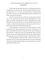 thực trạng áp dụng pháp luật về xử phạt vi phạm hành chính