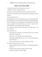 Tổng quan về công ty cổ phần thương mại và vận tải Petrolimex Hà Nội