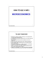 KINH TẾ HỌC VI MÔ - Chương 1