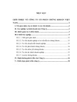 Định hướng phát triển của Công tyCổ phần Chứng khoán Việt Nam