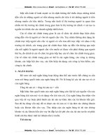 CÁC TỔ CHỨC TÀI CHÍNH PHI NGÂN HÀNG