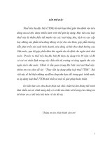 Thực tiễn áp dụng pháp luật thuế TTDB