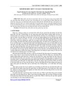 mô hình biểu diễn văn bản thành đô thị