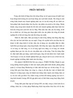 Một số biện pháp Marketing nhằm mở rộng thị trường tại Chi Nhanh Carings Hà Nội của Công ty THHH TM Bến Thành