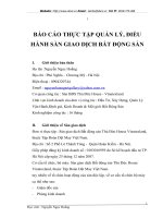 BÁO CÁO THỰC TẬP QUẢN LÝ, ĐIỀU HÀNH SÀN GIAO DỊCH BẤT ĐỘNG SẢN