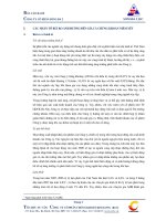 Báo cáo hạch tán công ty cổ phần sông đà 2