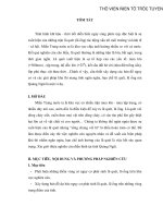 Xây dựng bản đồ phòng chống bão lũ Quảng Ngãi