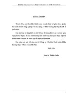 Hoàn thiện hệ thống kênh phân phối ở Công ty Cổ phần Xuất nhập khẩu Lương thực - Thực phẩm Hà Nội