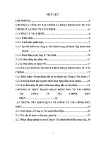 GIẢI PHÁP PHÁT TRIỂN HOẠT ĐỘNG ĐẦU TƯ TÀI CHÍNH TẠI CÔNG TY TÀI CHÍNH BƯU ĐIỆN