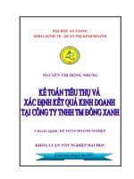 Kế toán tiêu thụ và xác định kết quả kinh doanh tại Công ty  TNHH TM Đồng Xanh