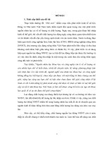 Nâng cao chất lượng lao động trong tiến trình CNH, HĐH ở huyện A Lưới, tỉnh Thừa Thiên Huế