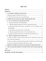 Phân tích chế định Chủ tịch nước theo quy định của pháp luật hiện hành