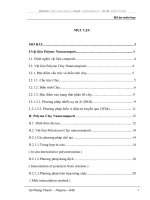 Vật liệu Polyme Nanocompzit