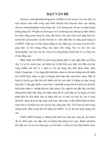 Phát hiện tần suất thiếu hụt G6PD ở dân tộc Tày và dân tộc Nùng bằng phương pháp bán định lượng Formazan