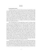 “Tội phạm mạng trong Luật hình sự Việt Nam, những vấn đề lý luận và thực tiễn