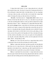 vi phạm hành chính