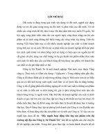 Đẩy mạnh hoạt động tiêu thụ sản phẩm trên thị trường nội địa của công ty sứ Thanh Trì